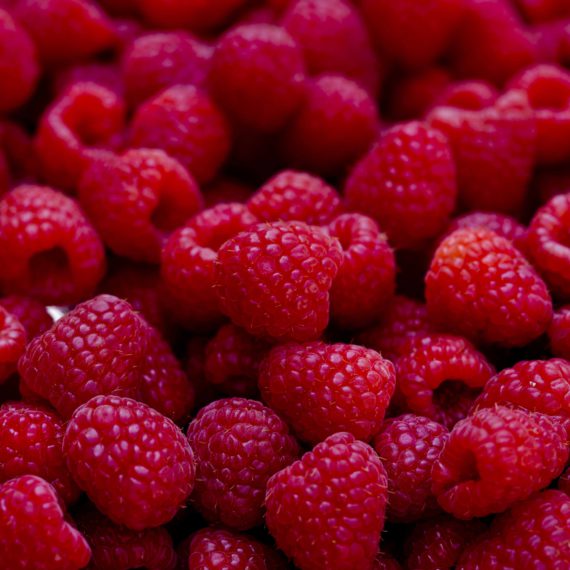 ice-raspberries-1
